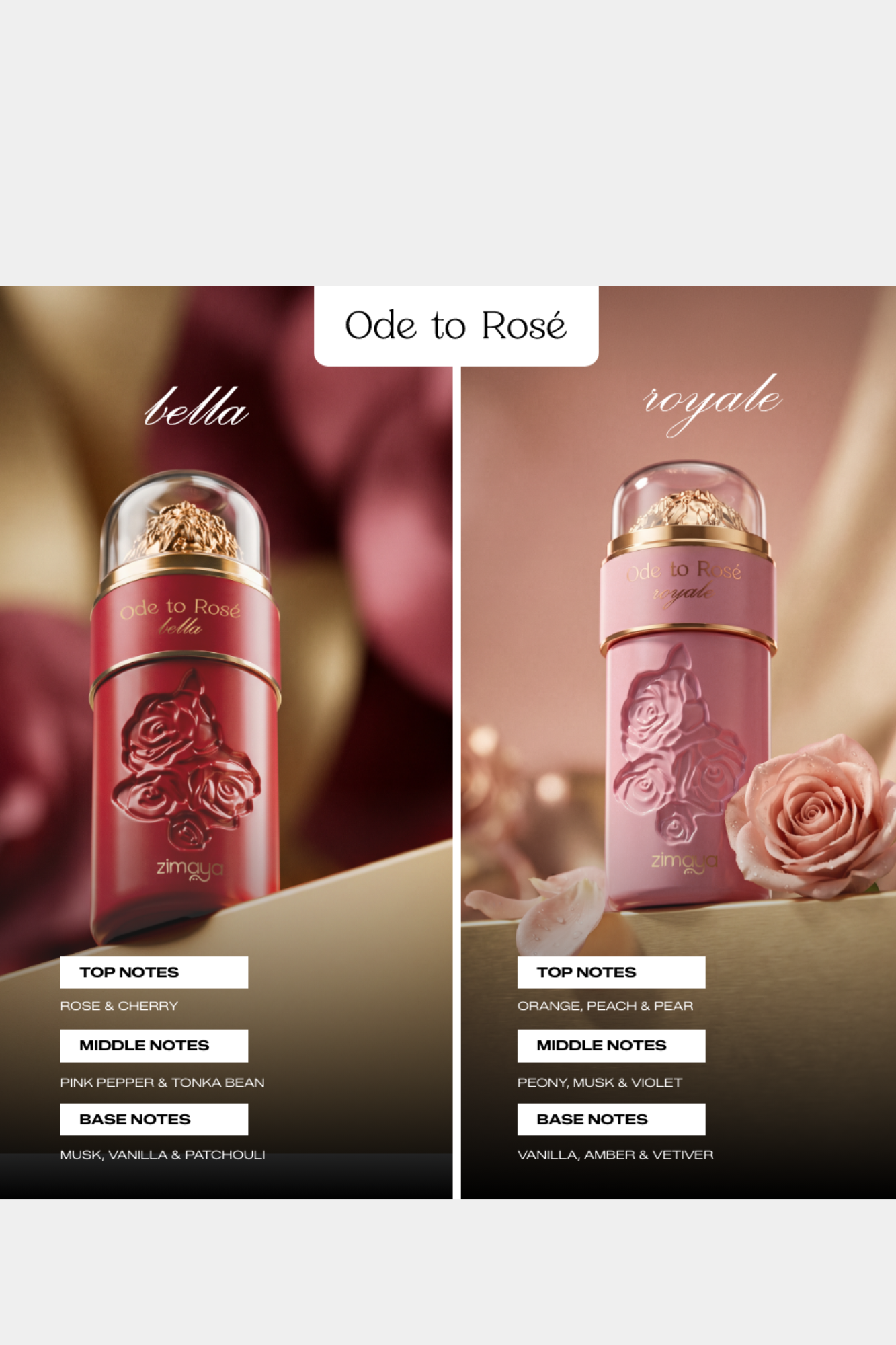 Ode to Rose Bella